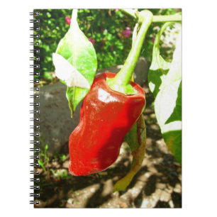 Red Capsicum bärbar dator Anteckningsbok