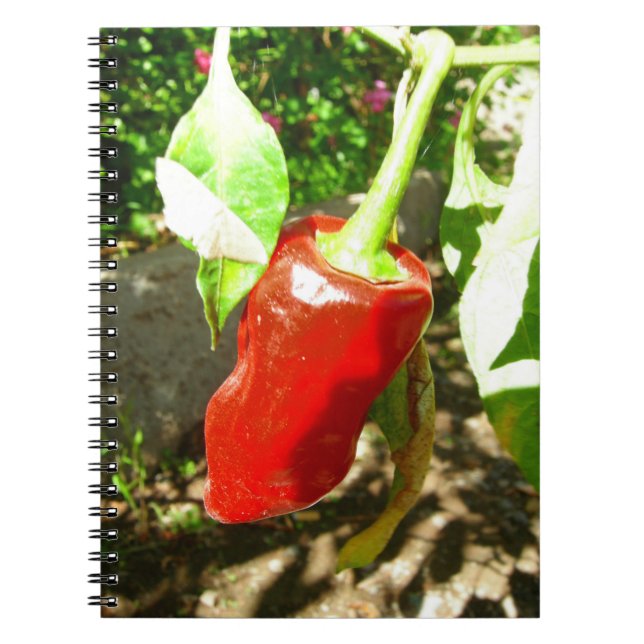 Red Capsicum bärbar dator Anteckningsbok (Framsidan)