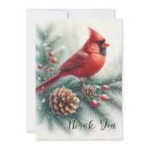 Red Cardinal Bird and Pine