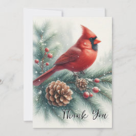 Red Cardinal Bird and Pine Tack Kort