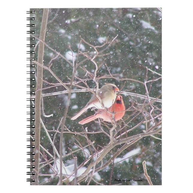 Red Cardinal Bird Anteckningsbok (Framsidan)