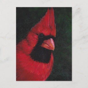 Red Cardinal Bird Art Postcard Vykort