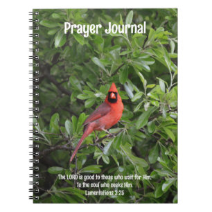 Red Cardinal Bird Bible Verse Prayer Journal Anteckningsbok