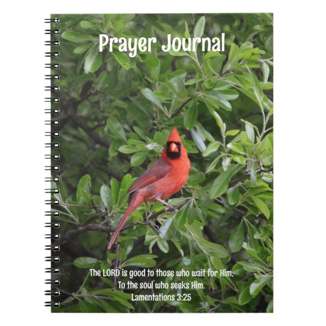 Red Cardinal Bird Bible Verse Prayer Journal Anteckningsbok (Framsidan)