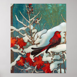 Red Cardinal Bird i Snö Poster