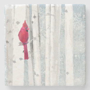Red Cardinal Bird i vackra snowy Birch Träd Underlägg Sten