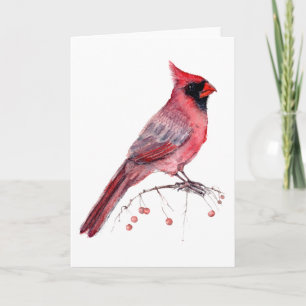 Red Cardinal Bird Kort