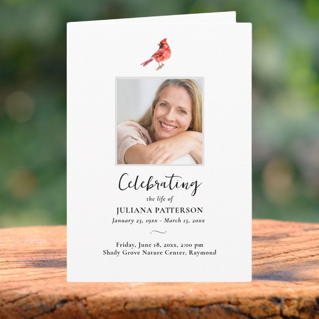 Red Cardinal Bird, Order of Service Funeral Photos Program (Skapare uppladdad)