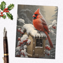 Red Cardinal Bird på en postlåda