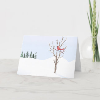 Red Cardinal Bird Peace on Earth Family Helgkort