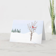 Red Cardinal Bird Peace on Earth God jul