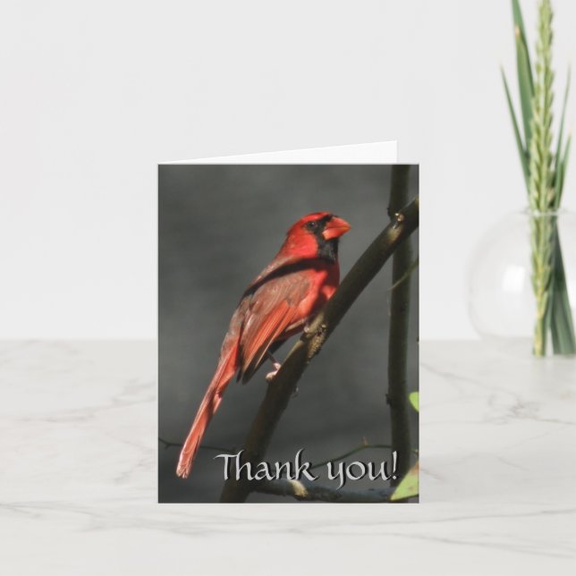 Red Cardinal Bird Tackkort Card (Framsida)