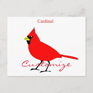 Red Cardinal Bird Thunder_Cove Vykort