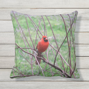 Red Cardinal Bird Utomhuskudde