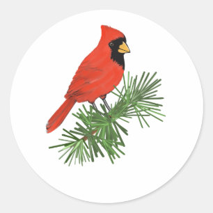 Red Cardinal Bird vid Gräs Träd Runt Klistermärke