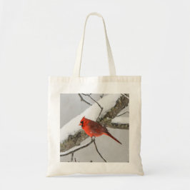 Red Cardinal Bird Winter Tygkasse