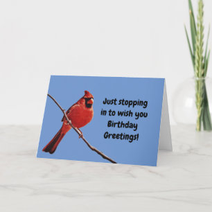 Red Cardinal Birthday Card Blå himmel Kort