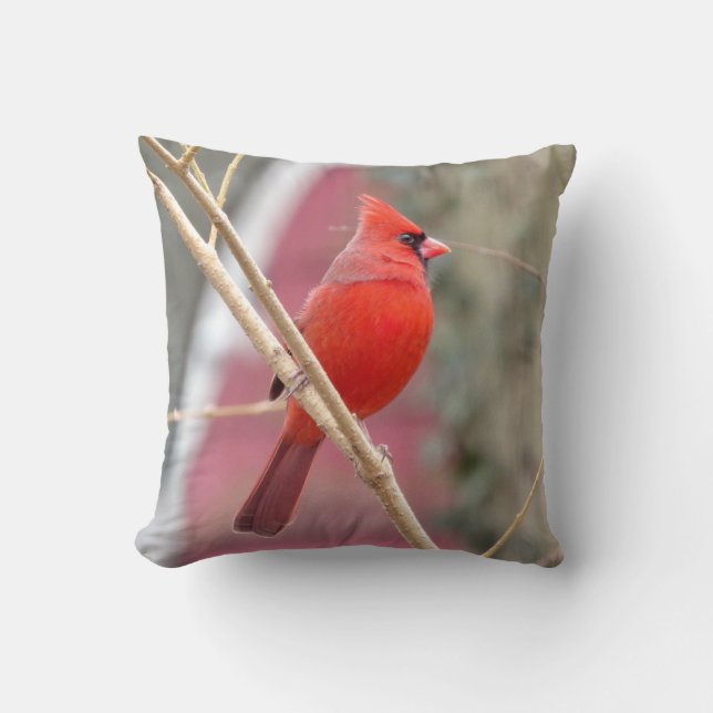 Red Cardinal Dekorativ kudde (Framsida)