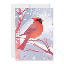 Red Cardinal | Fackfärgsfärg