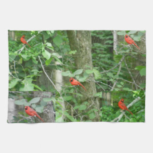RED CARDINAL-handduken Kökshandduk