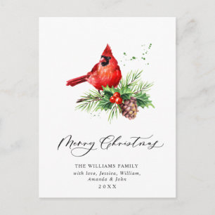 Red Cardinal Holly Berry-juljul, Helgdag Vykort