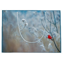 Red Cardinal in Winter Nature Photo jul