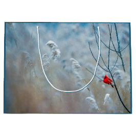 Red Cardinal in Winter Nature Photo jul