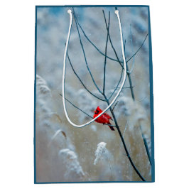 Red Cardinal in Winter Nature Photo jul