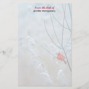Red Cardinal in Winter Nature Photo jul Brevpapper