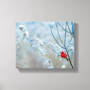 Red Cardinal in Winter Nature Photo jul Canvastryck