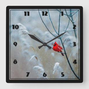Red Cardinal in Winter Nature Photo jul Fyrkantig Klocka