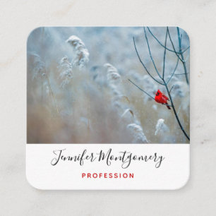Red Cardinal in Winter Nature Photo jul Fyrkantigt Visitkort