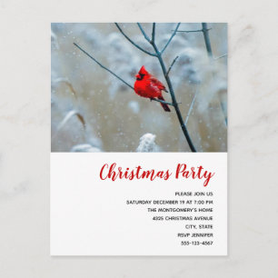 Red Cardinal in Winter Nature Photo jul Inbjudan Vykort