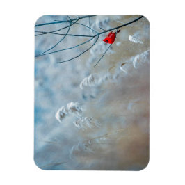 Red Cardinal in Winter Nature Photo jul Magnet