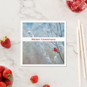 Red Cardinal in Winter Nature Photo jul Pappersservett