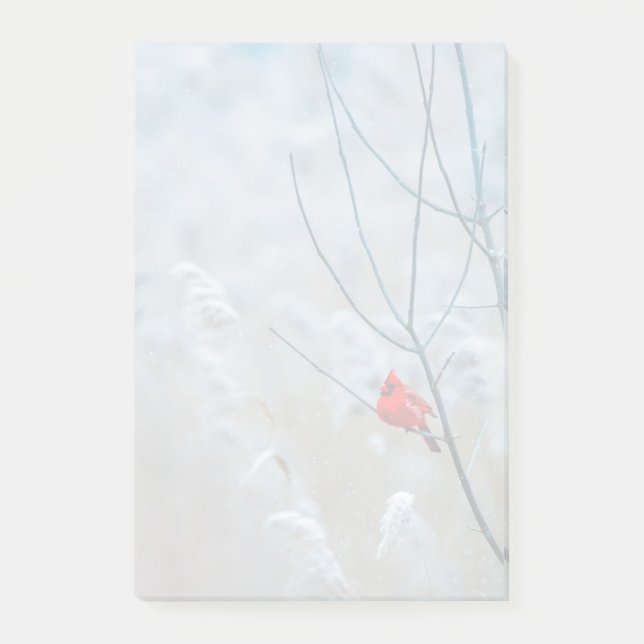 Red Cardinal in Winter Nature Photo jul Post-it Block (Framsida)