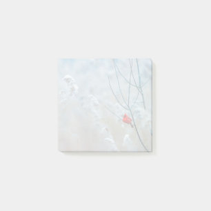 Red Cardinal in Winter Nature Photo jul Post-it Block