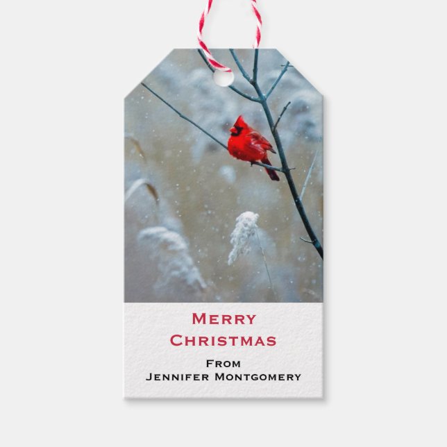 Red Cardinal in Winter Nature Photo jul Presentetikett (Framsidan)