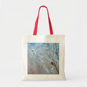 Red Cardinal in Winter Nature Photo jul Tygkasse