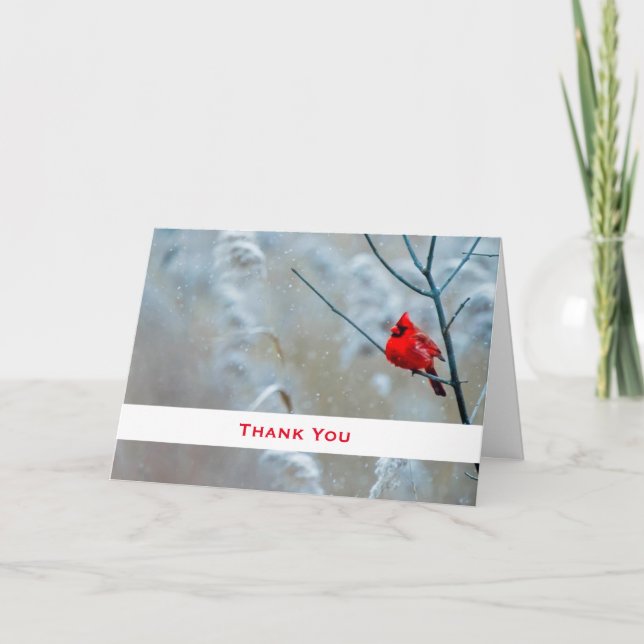 Red Cardinal in Winter Nature Photo Tack Kort (Framsida)