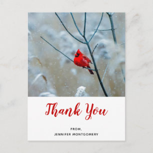 Red Cardinal in Winter Nature Photo Tack Vykort
