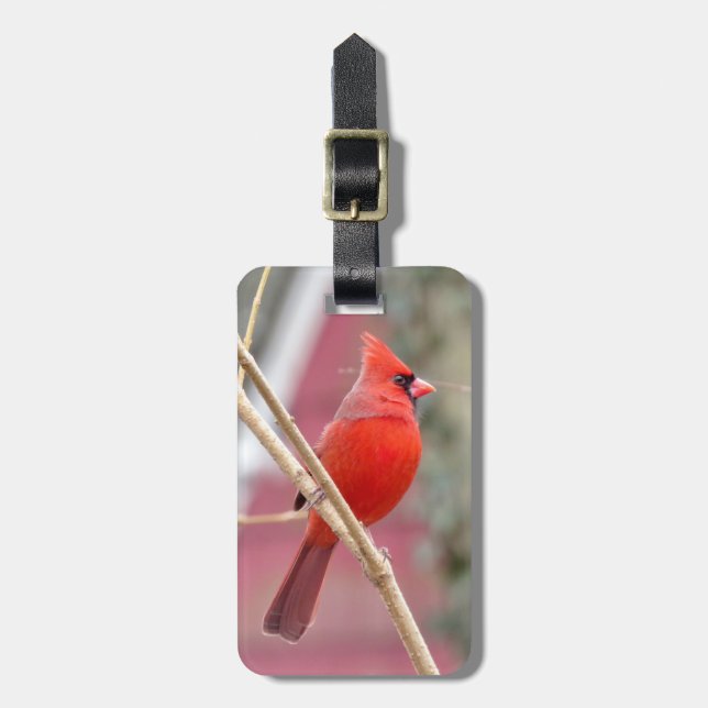 Red Cardinal Luggage Tag Bagagebricka (Vertikal Framsida)