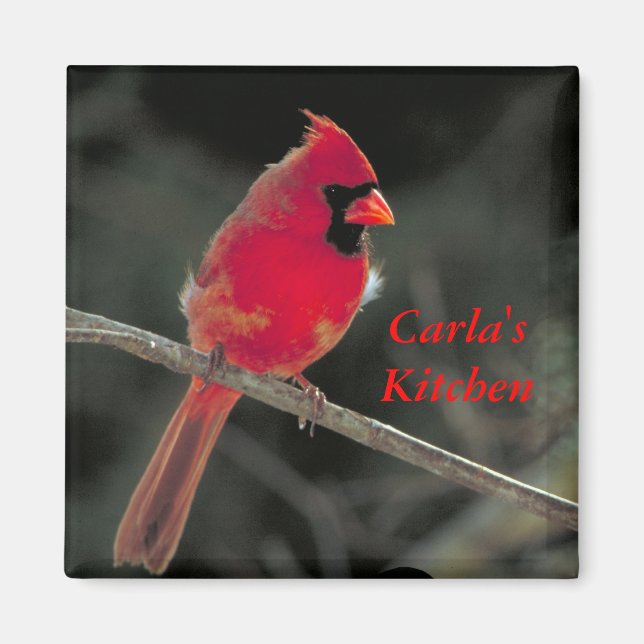 Red Cardinal Magnet (Framsidan)