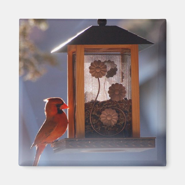 Red Cardinal Magnet (Framsidan)