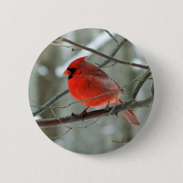 Red Cardinal (Male) Wildlife Button Knapp