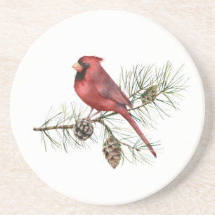 Red Cardinal on Branch Pine Cones Underlägg