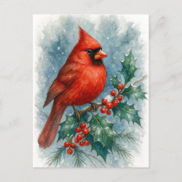 Red Cardinal on Winter Holly Christmas Postcard Helg Vykort