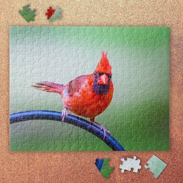 Red Cardinal Photo med underbart uttryck Pussel (It's a Red Cardinal Puzzle!)