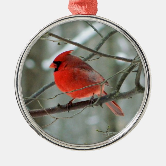 Red Cardinal Premium Ornament (Framsidan)