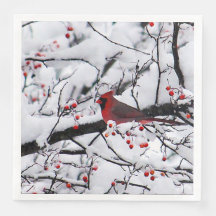 Red Cardinal Snö Träd Photo